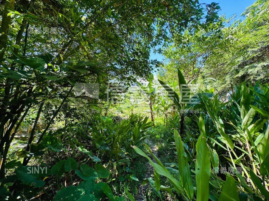 好山好水開心大農場房屋室內格局與周邊環境