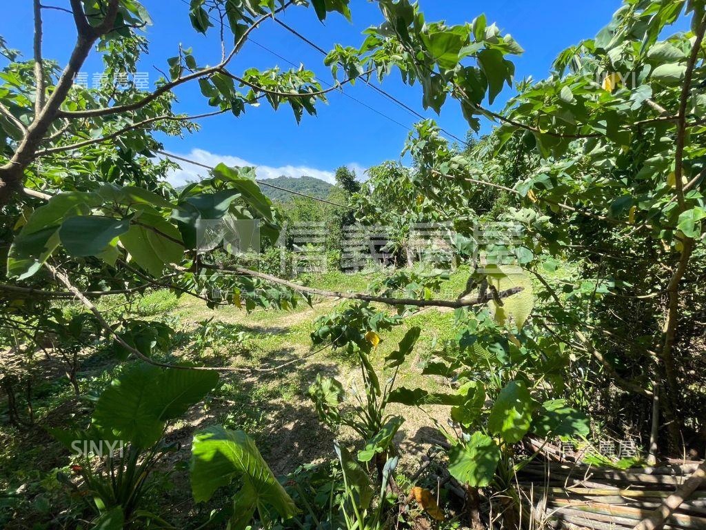 好山好水開心大農場房屋室內格局與周邊環境