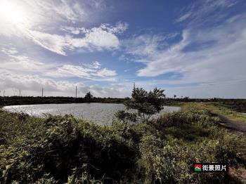 學甲中州約１．３甲魚塭地
