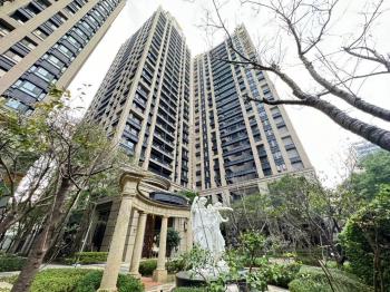 巴黎公園６樓樹梢美景