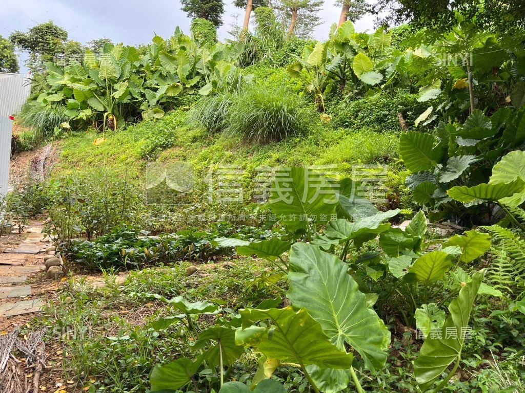 龜山幸福段０１０３持分地房屋室內格局與周邊環境
