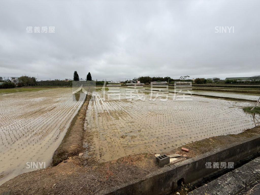 觀音便宜農地誠意出售房屋室內格局與周邊環境