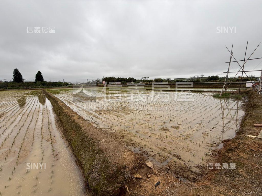 觀音便宜農地誠意出售房屋室內格局與周邊環境