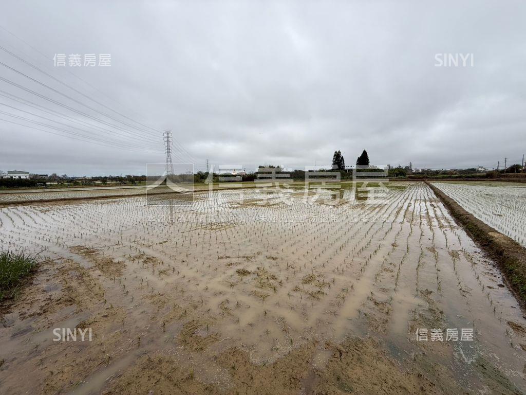 觀音便宜農地誠意出售房屋室內格局與周邊環境