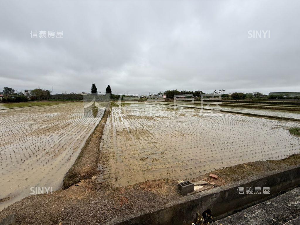 觀音便宜農地誠意出售房屋室內格局與周邊環境