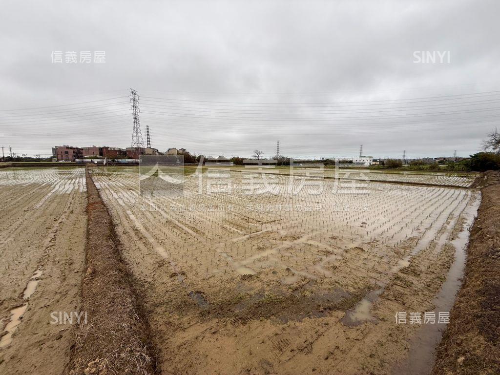 觀音便宜農地誠意出售房屋室內格局與周邊環境