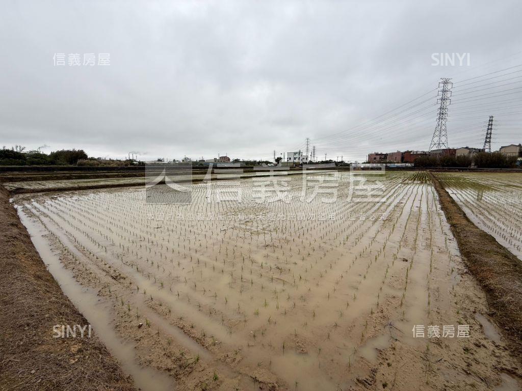 觀音便宜農地誠意出售房屋室內格局與周邊環境