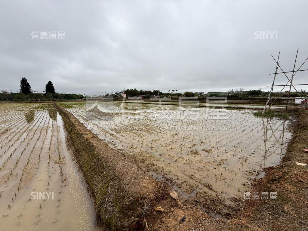觀音便宜農地誠意出售房屋室內格局與周邊環境