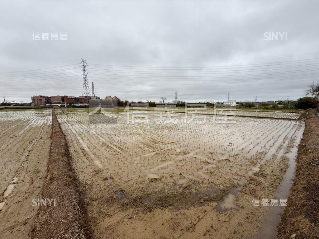 觀音便宜農地誠意出售房屋室內格局與周邊環境