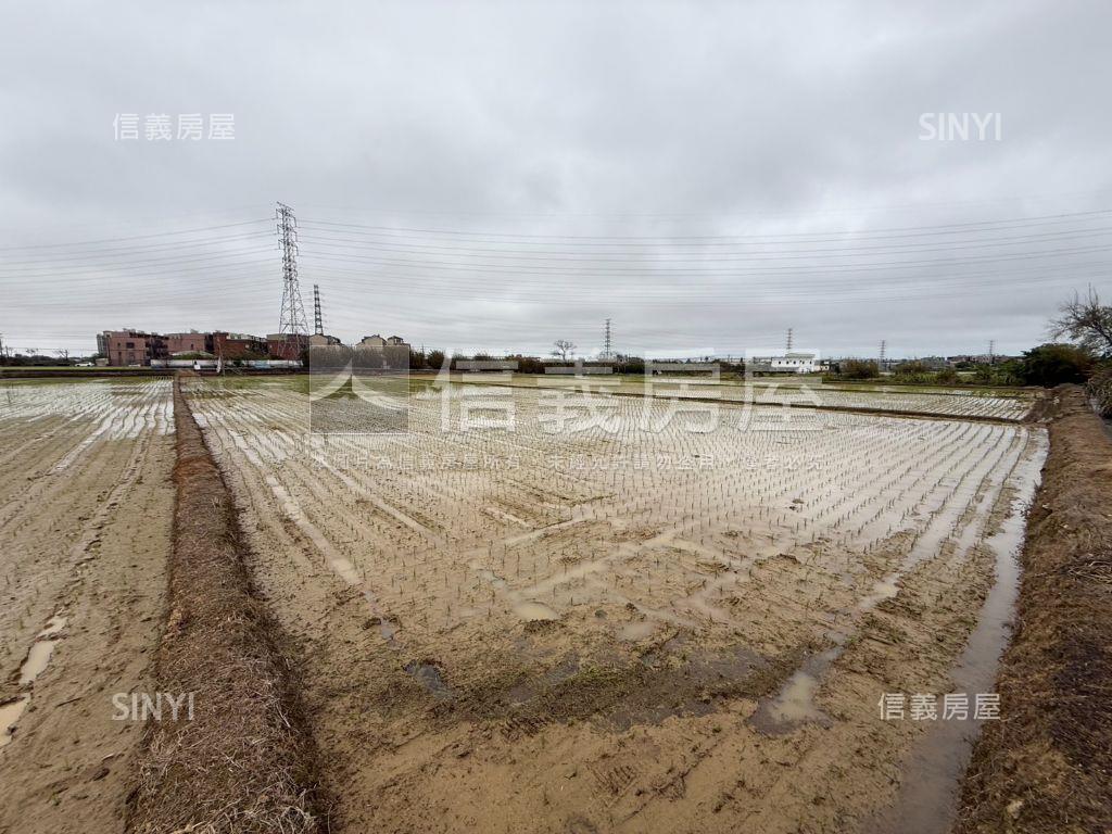 觀音便宜農地誠意出售房屋室內格局與周邊環境