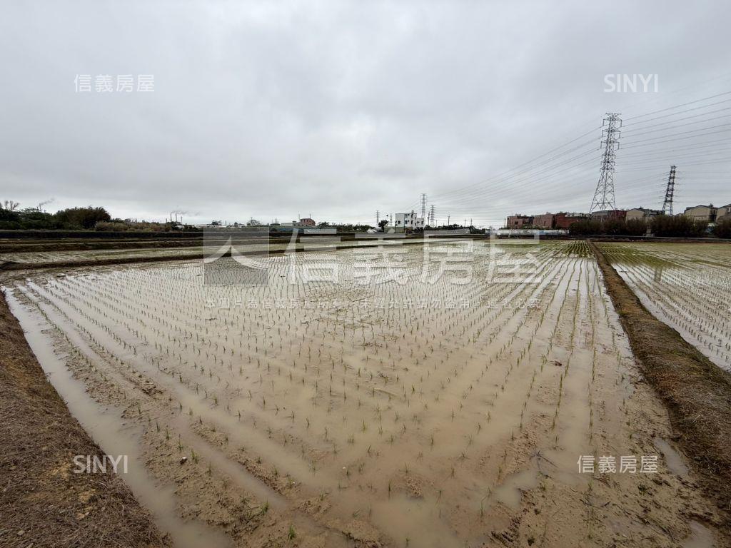 觀音便宜農地誠意出售房屋室內格局與周邊環境