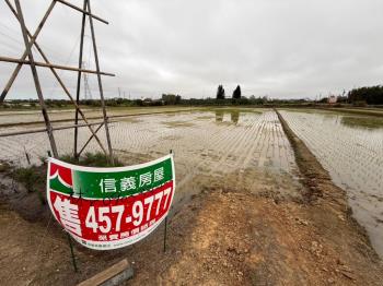 觀音便宜農地誠意出售