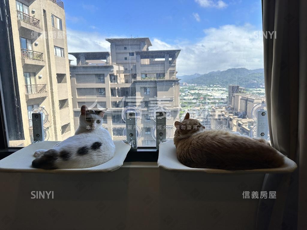 專任哈佛日出山景衛浴開窗房屋室內格局與周邊環境
