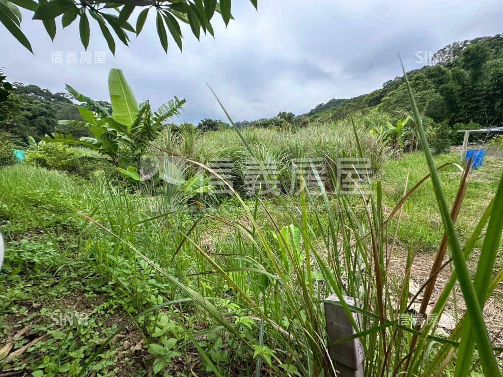 苗栗頭份流東段臨路農地房屋室內格局與周邊環境