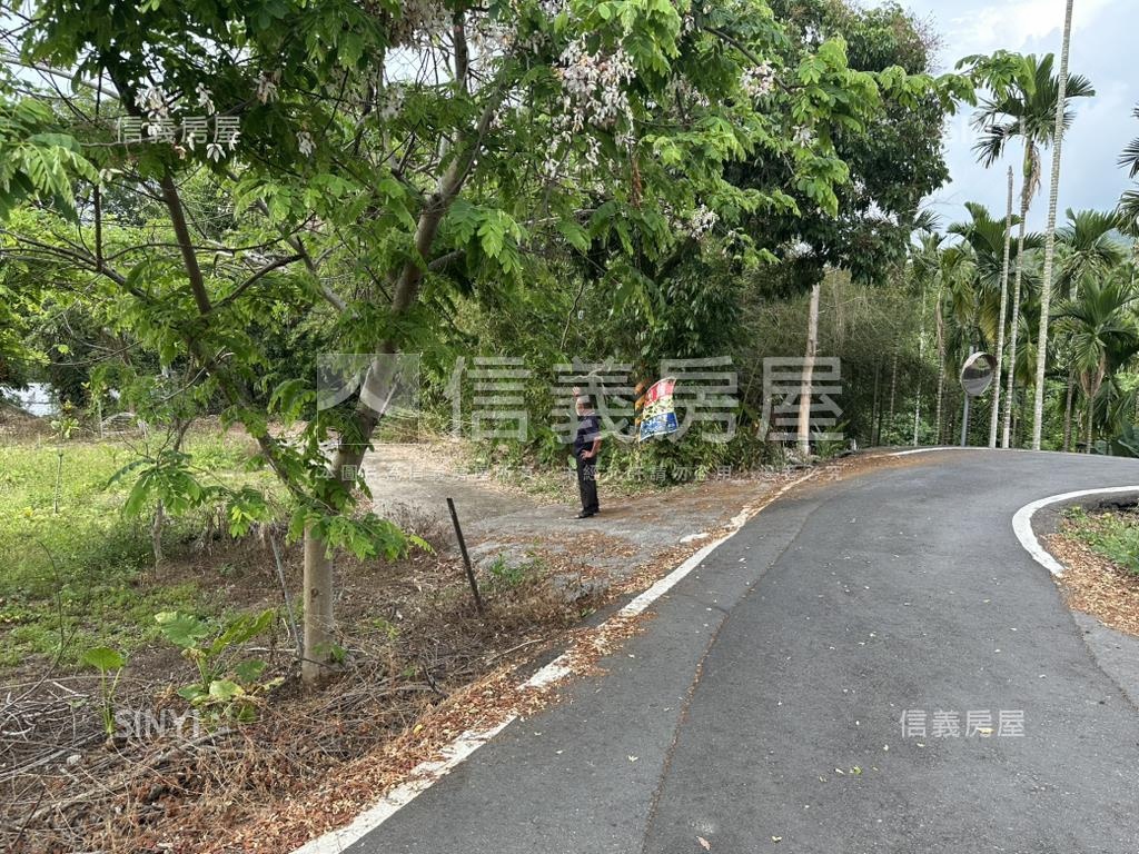 嘉義中埔竹頭崎農地房屋室內格局與周邊環境