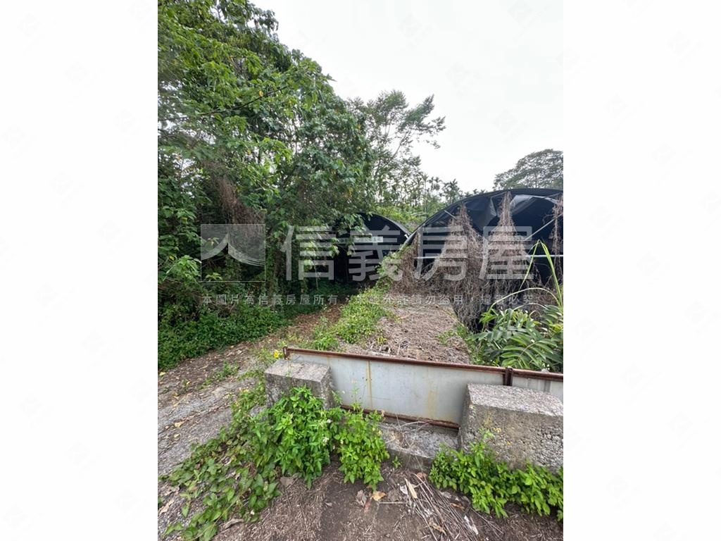 嘉義中埔竹頭崎農地房屋室內格局與周邊環境