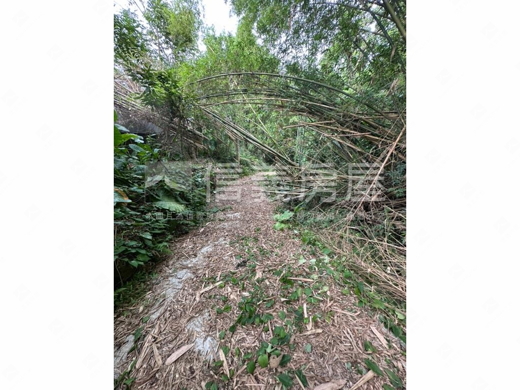 嘉義中埔竹頭崎農地房屋室內格局與周邊環境