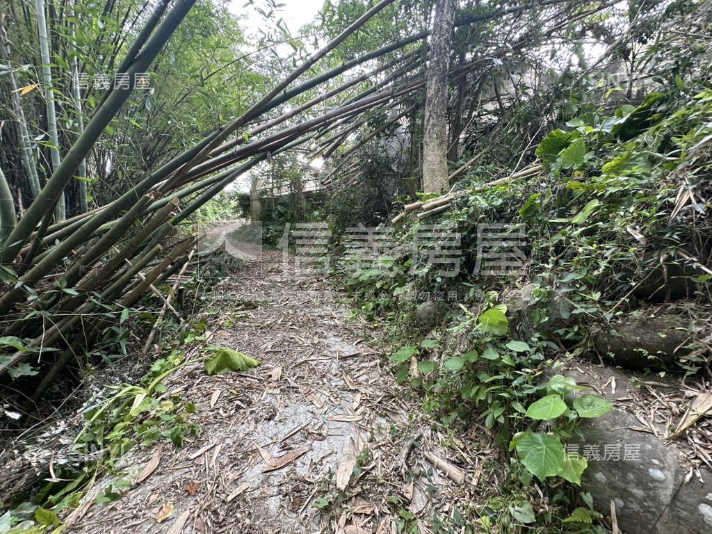 嘉義中埔竹頭崎農地房屋室內格局與周邊環境