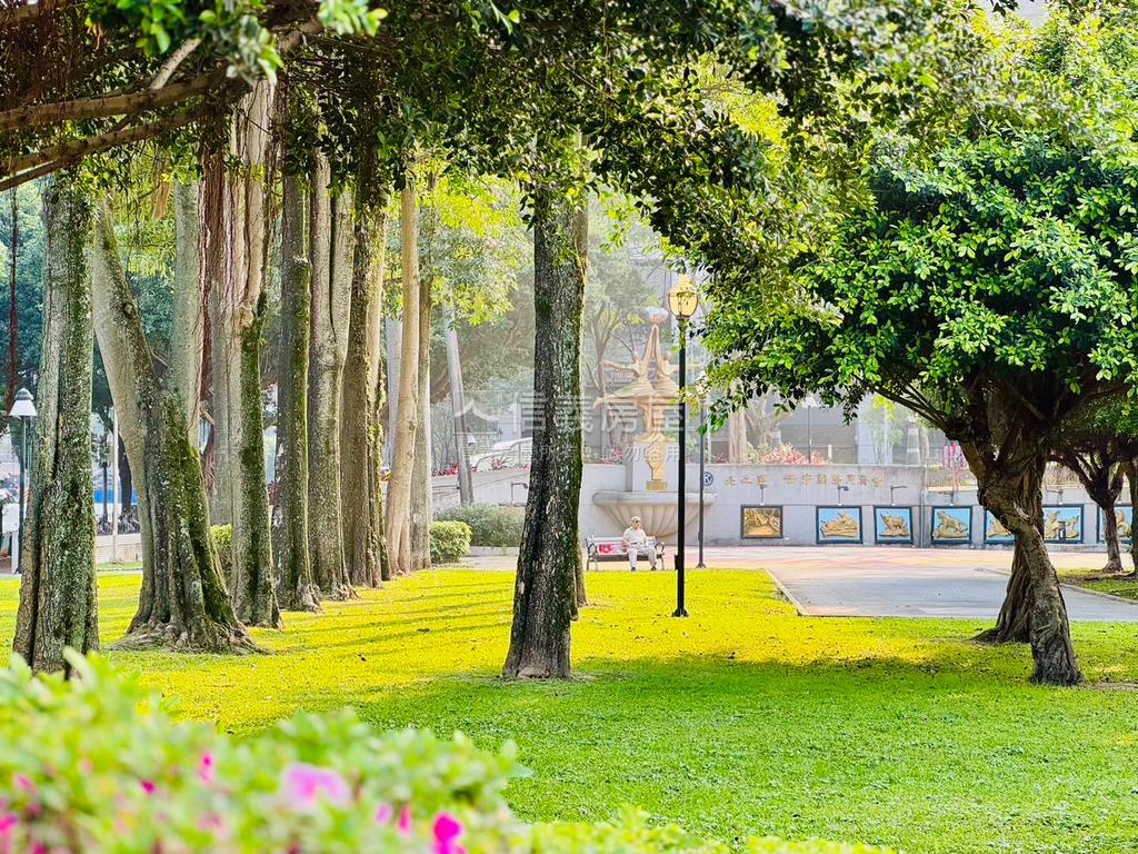 仁愛公園⭐第一排美宅房屋室內格局與周邊環境