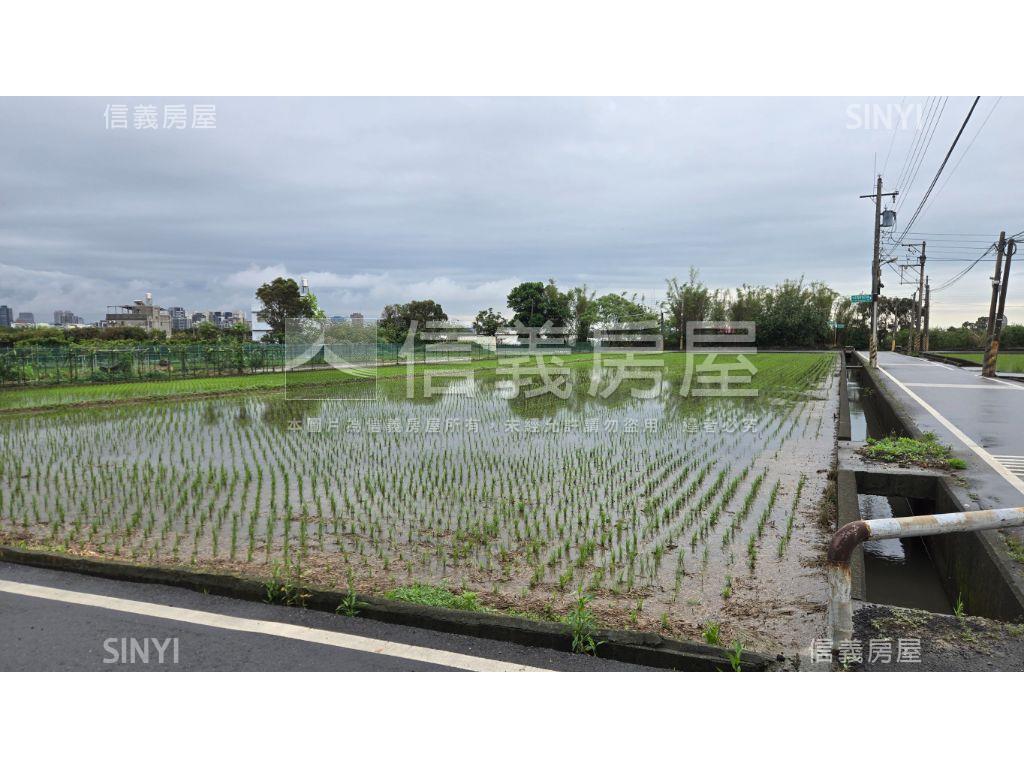 三面臨路甲建農地金磚房屋室內格局與周邊環境