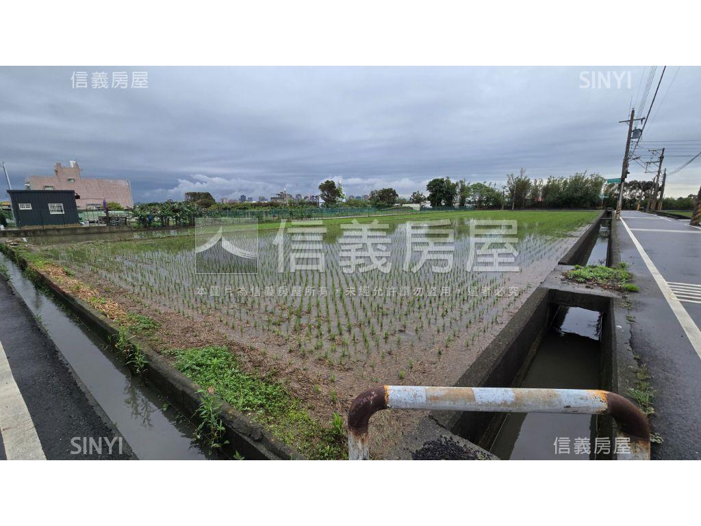 三面臨路甲建農地金磚房屋室內格局與周邊環境