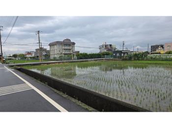 三面臨路甲建農地金磚