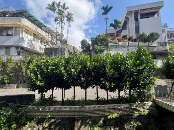 公園綠意小資兩房