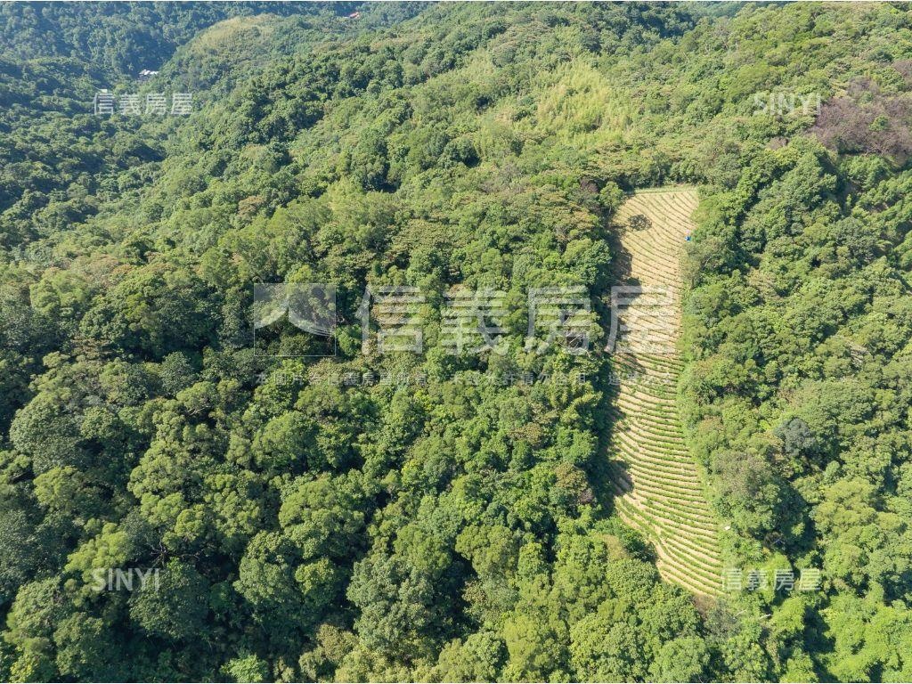 銀河洞越嶺步道旁林地房屋室內格局與周邊環境