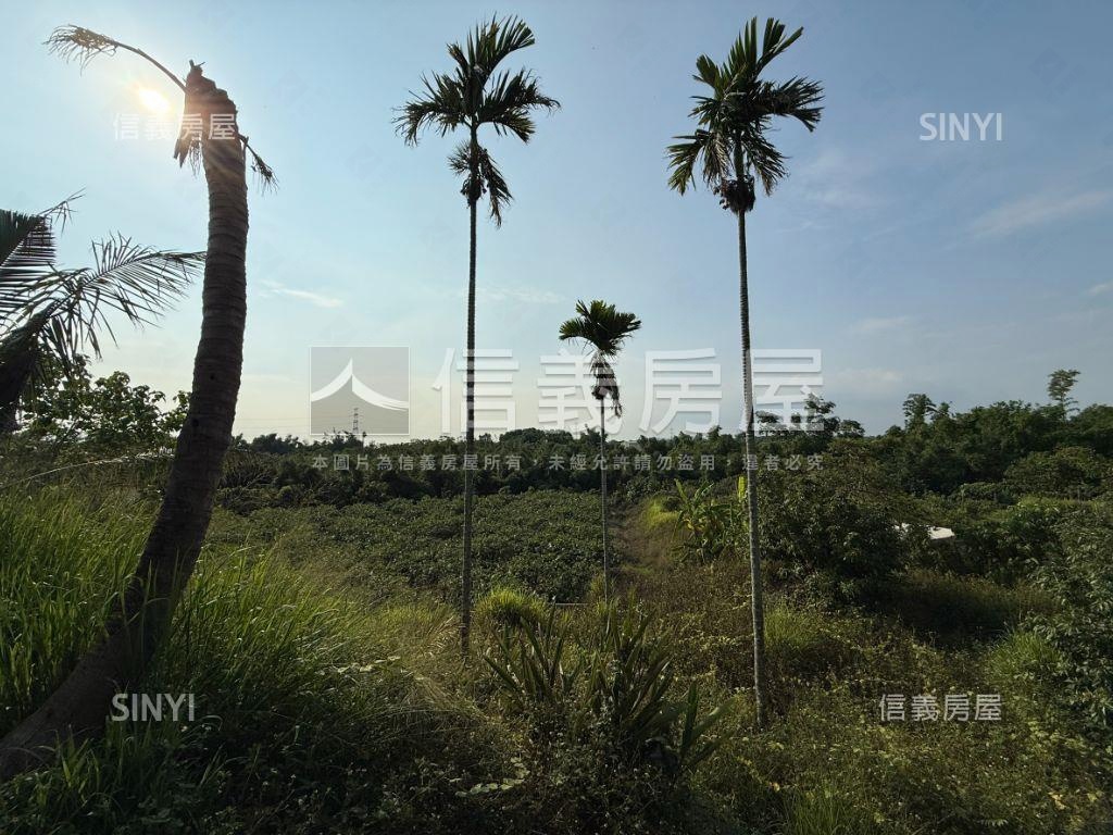 臨正大社路千坪土地Ｂ房屋室內格局與周邊環境