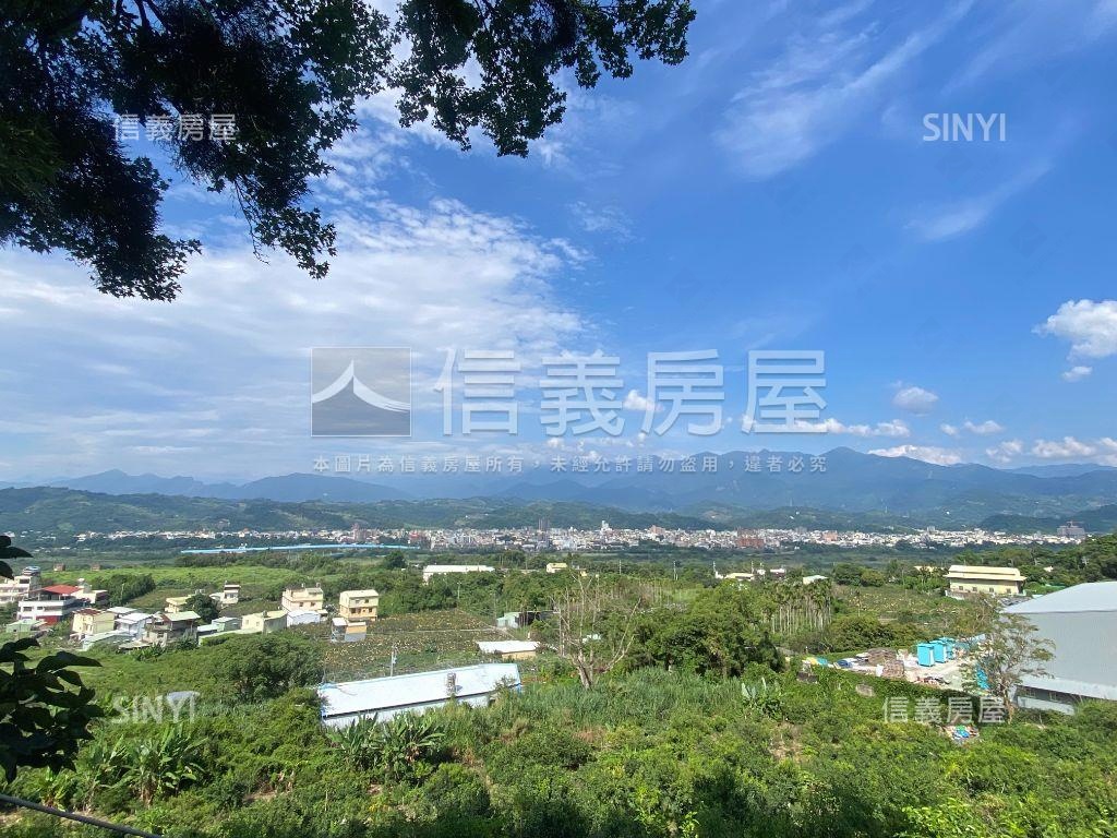 太平大興㊣華盛頓獨棟別墅房屋室內格局與周邊環境