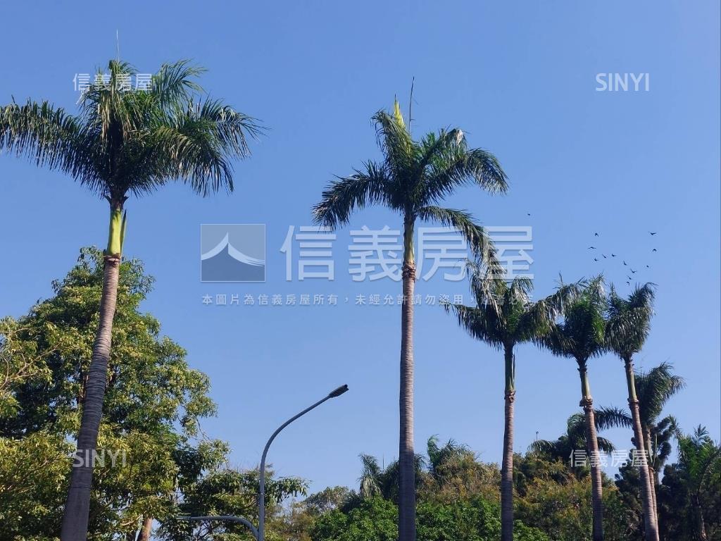 近車站面公園電梯三房房屋室內格局與周邊環境