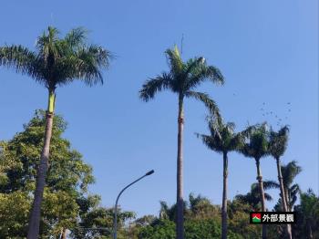 近車站面公園電梯三房