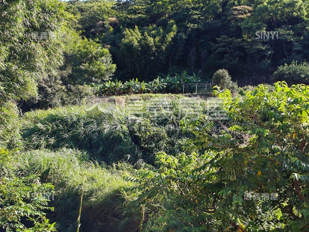 老莊路臨路農地房屋室內格局與周邊環境