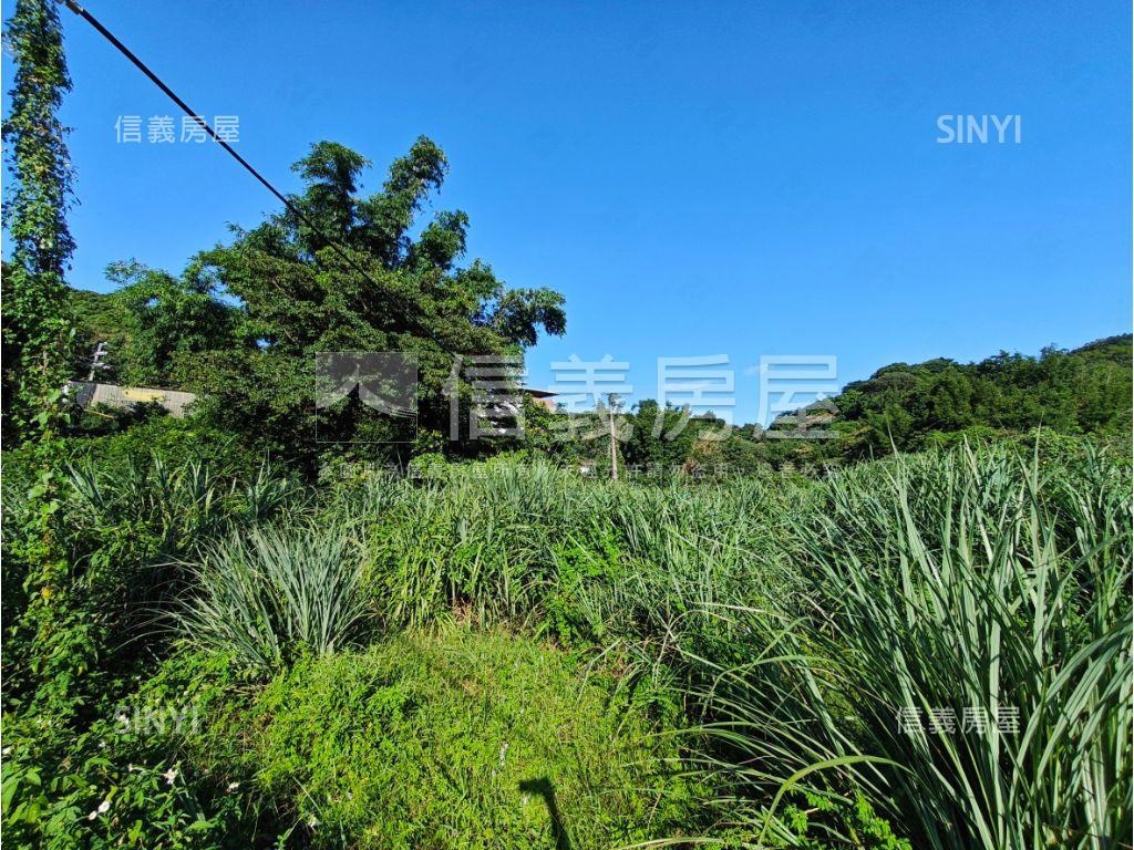 老莊路臨路農地房屋室內格局與周邊環境