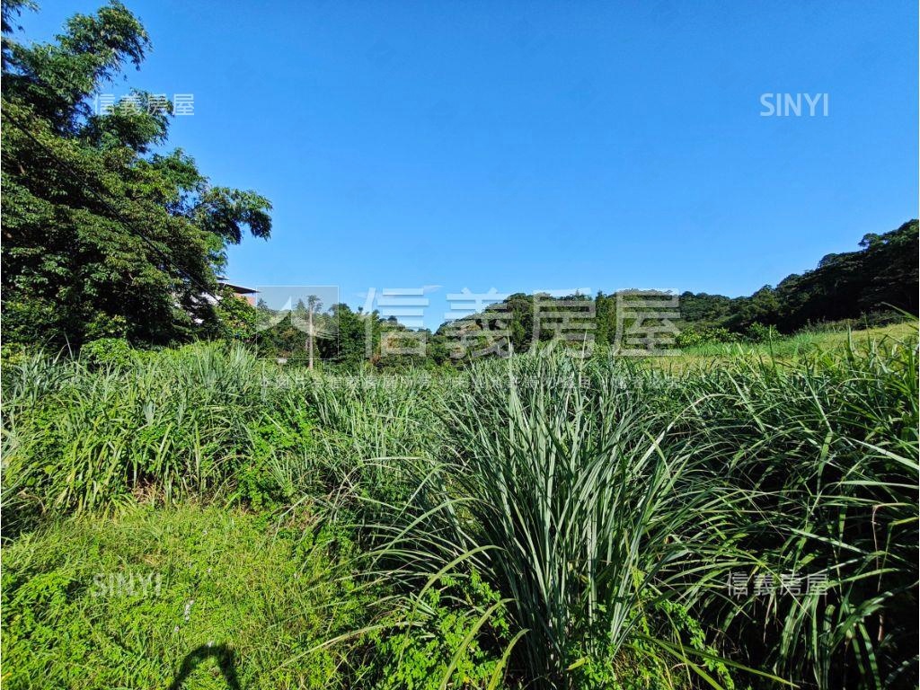 老莊路臨路農地房屋室內格局與周邊環境