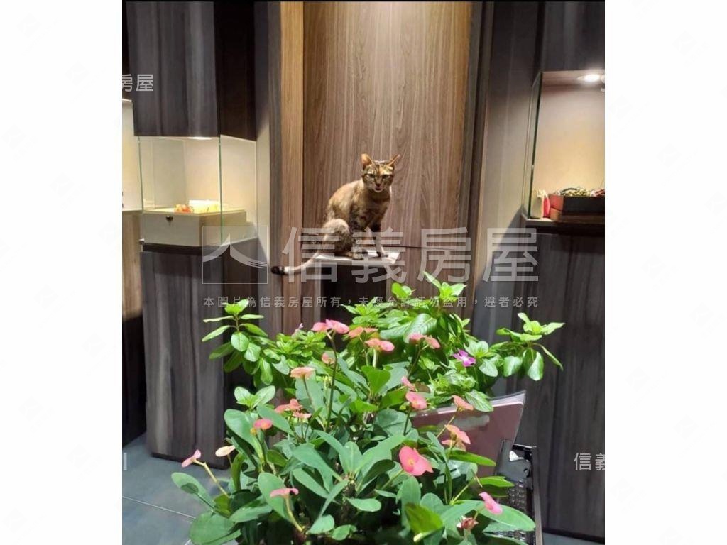 明德路三角窗優雅美店面房屋室內格局與周邊環境