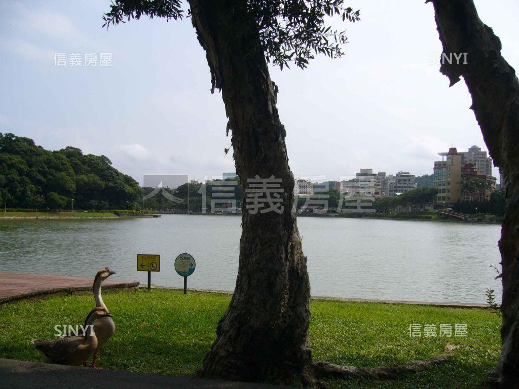 碧湖樹梢湖景大空間房屋室內格局與周邊環境