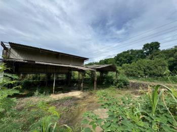 梅山過山段農牧用地２