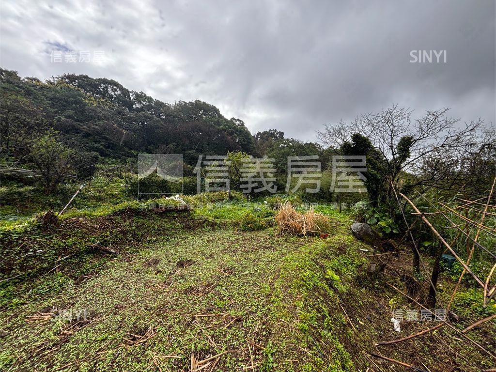 千坪便宜開心農場房屋室內格局與周邊環境