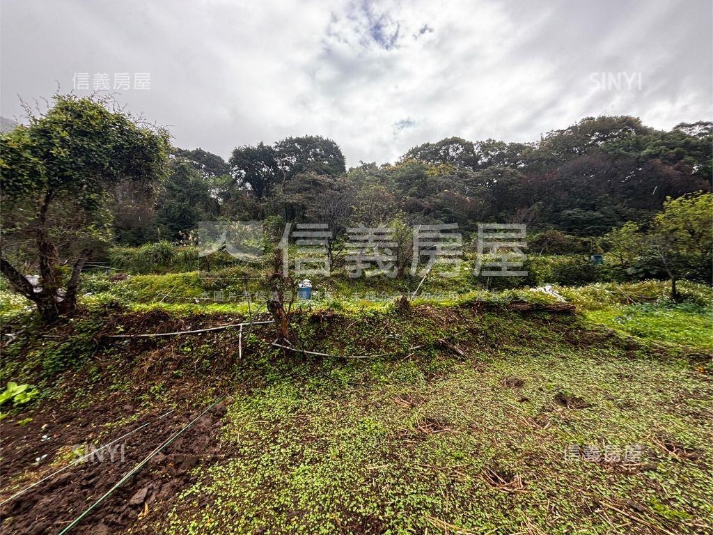 千坪便宜開心農場房屋室內格局與周邊環境