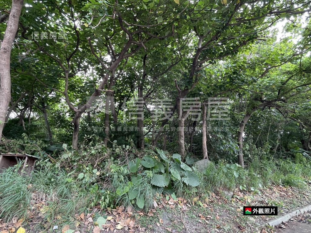 關渡平原鄰大度路公園用地房屋室內格局與周邊環境