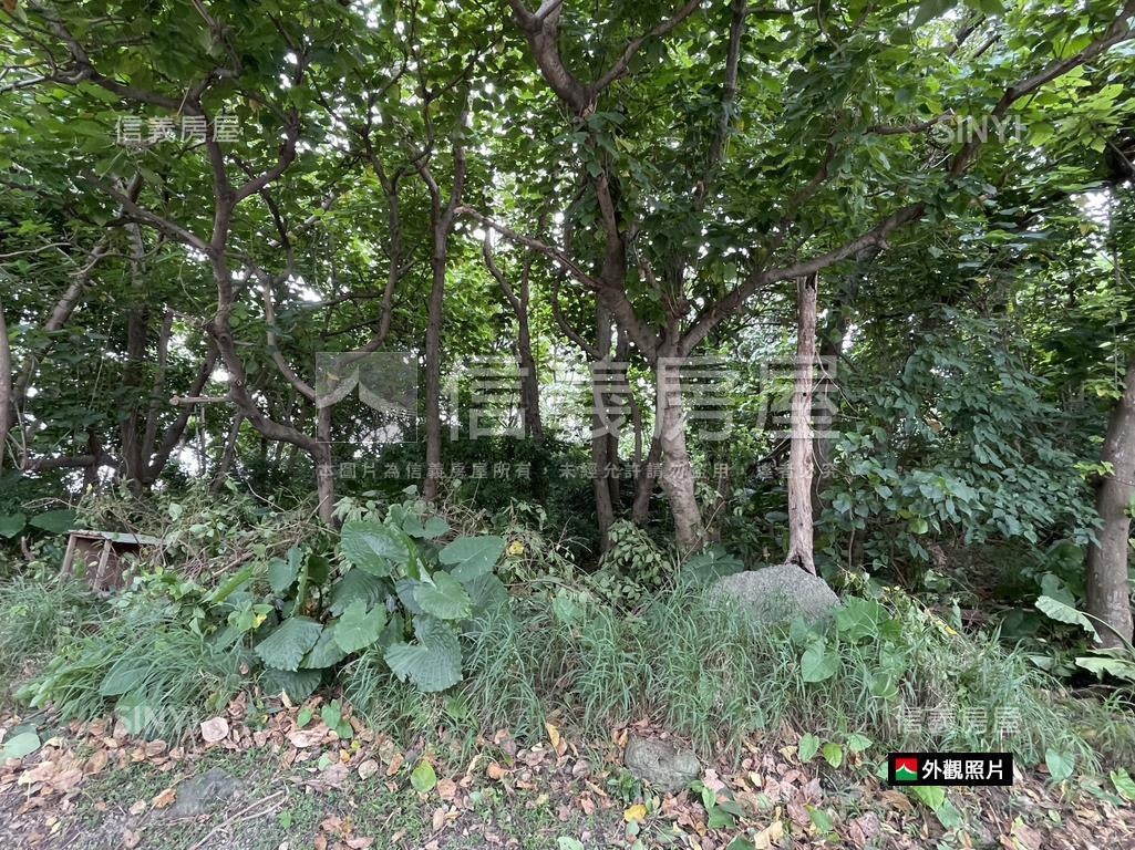 關渡平原鄰大度路公園用地房屋室內格局與周邊環境