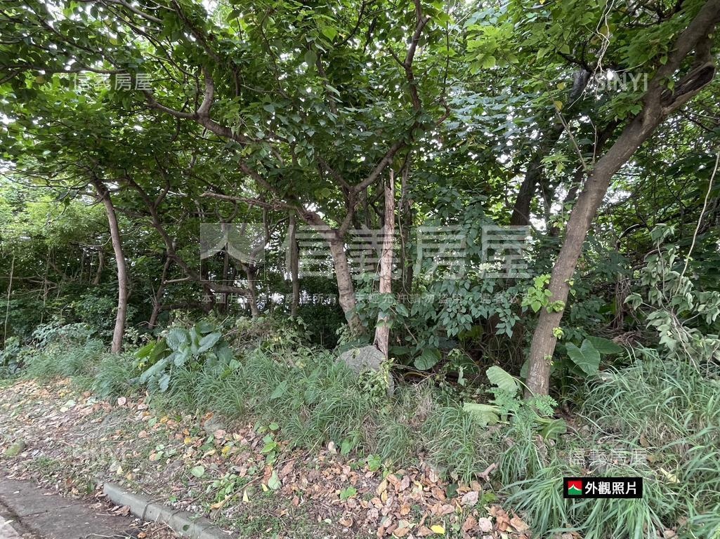 關渡平原鄰大度路公園用地房屋室內格局與周邊環境