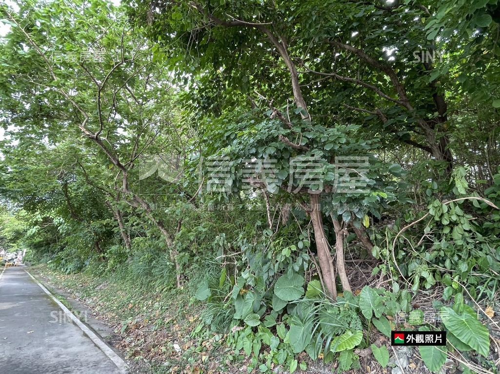 關渡平原鄰大度路公園用地房屋室內格局與周邊環境