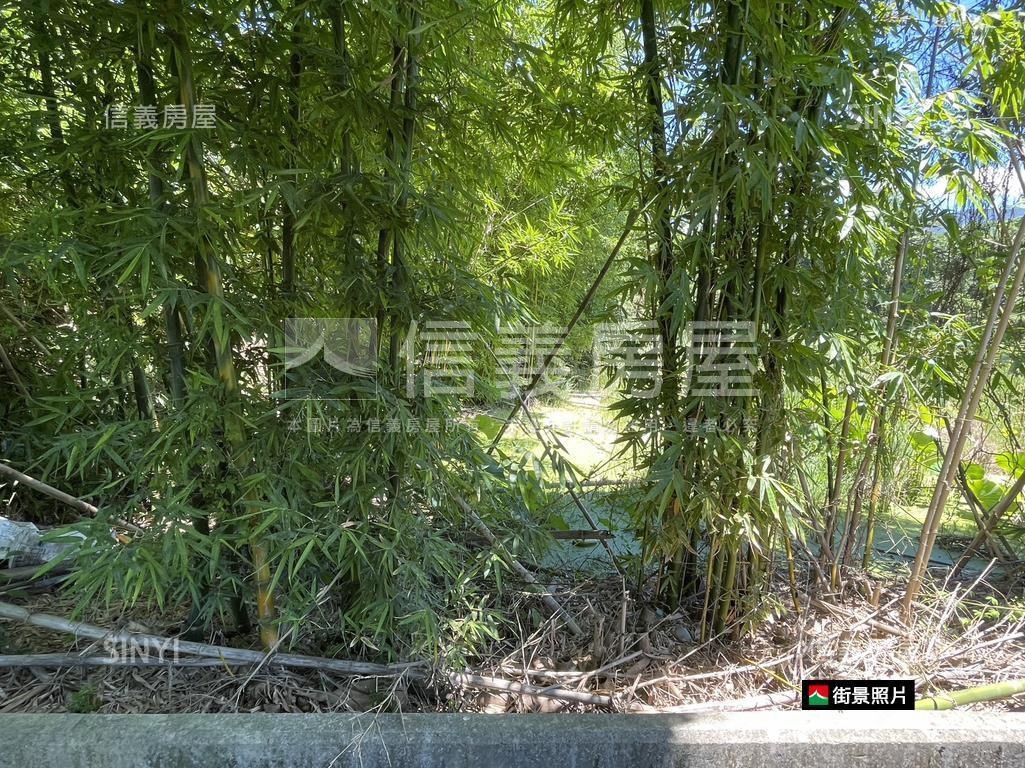 關渡平原鄰大度路公園用地房屋室內格局與周邊環境