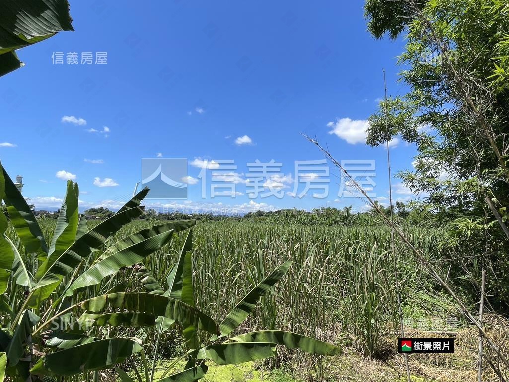 關渡平原鄰大度路公園用地房屋室內格局與周邊環境