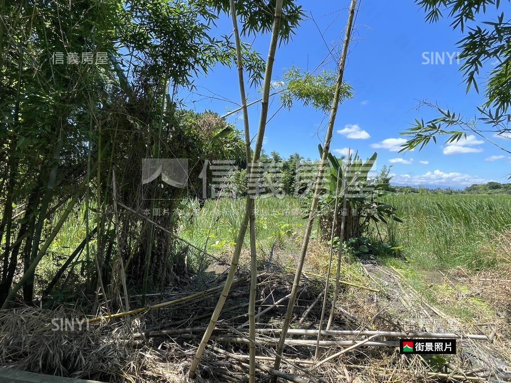 關渡平原鄰大度路公園用地房屋室內格局與周邊環境