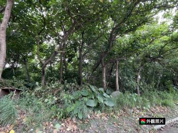 關渡平原鄰大度路公園用地