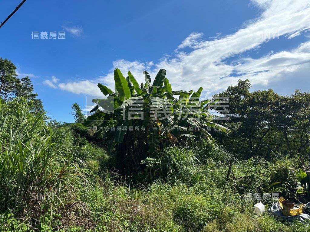 石碇快樂農地房屋室內格局與周邊環境