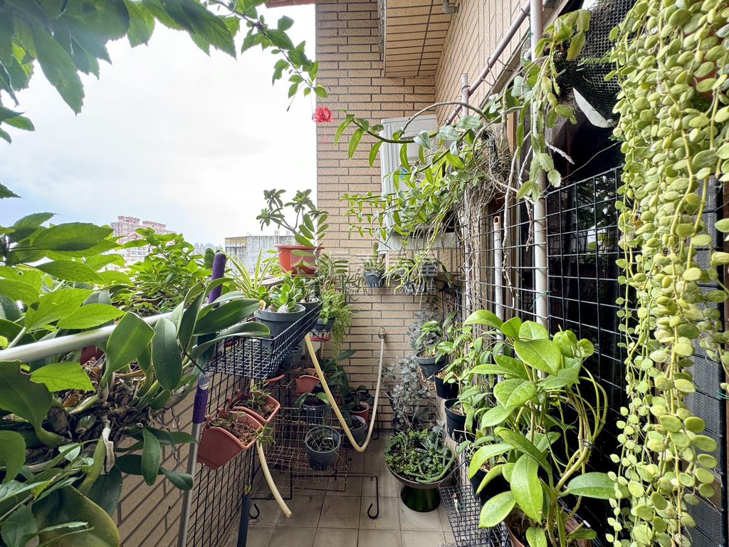 近勝利國小．邊間美屋房屋室內格局與周邊環境